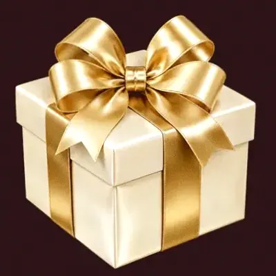 Ribboned gift box — Vincispin