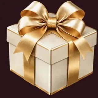 Gift box — Vincispin