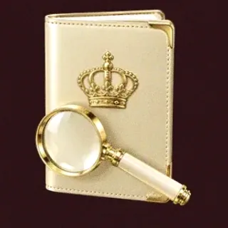 Passport magnifying glass — Vincispin