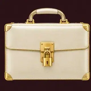 Locked leather briefcase — Vincispin