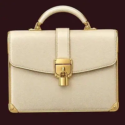 Locked leather briefcase — Vincispin