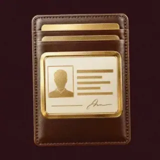 Casino membership card — Vincispin