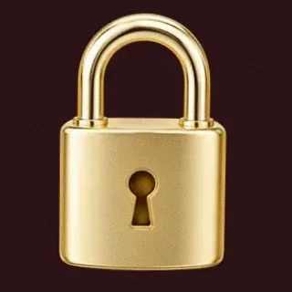 Metal padlock — Vincispin