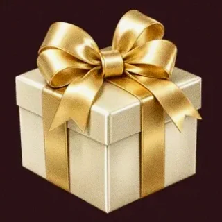 Luxury gift box — Vincispin