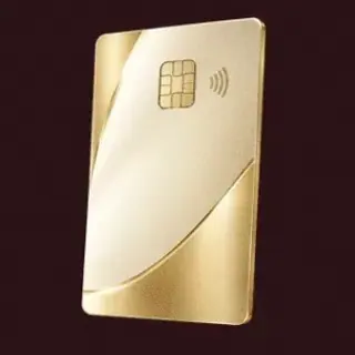 Contactless bank card — Vincispin