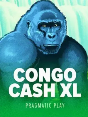 Congo Cash XL at Vincispin