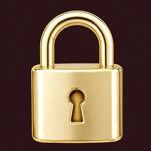 Metal padlock — Vincispin