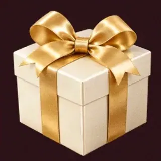 Wrapped gift box — Vincispin