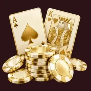 Poker playing cards — Vincispin